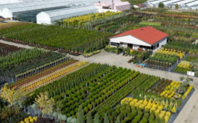 How to Choose the Right Size and Style of Storage Building for Your Needs