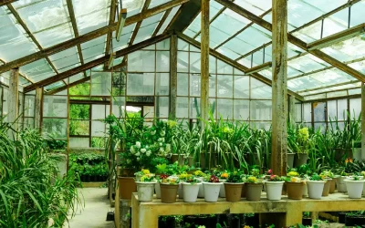 Right Greenhouse