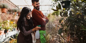 greenhouse gardening tips