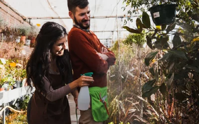 Extending Your Growing Season with a Greenhouse: Tips and Top Plants for Success