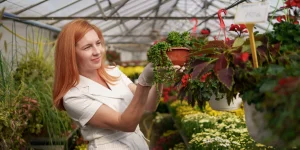 how to grow vegetables in a greenhouse