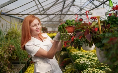 The Ultimate Guide to Affordable Greenhouse Solutions for Your Garden